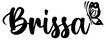 Brissa Accesorios – Inicio